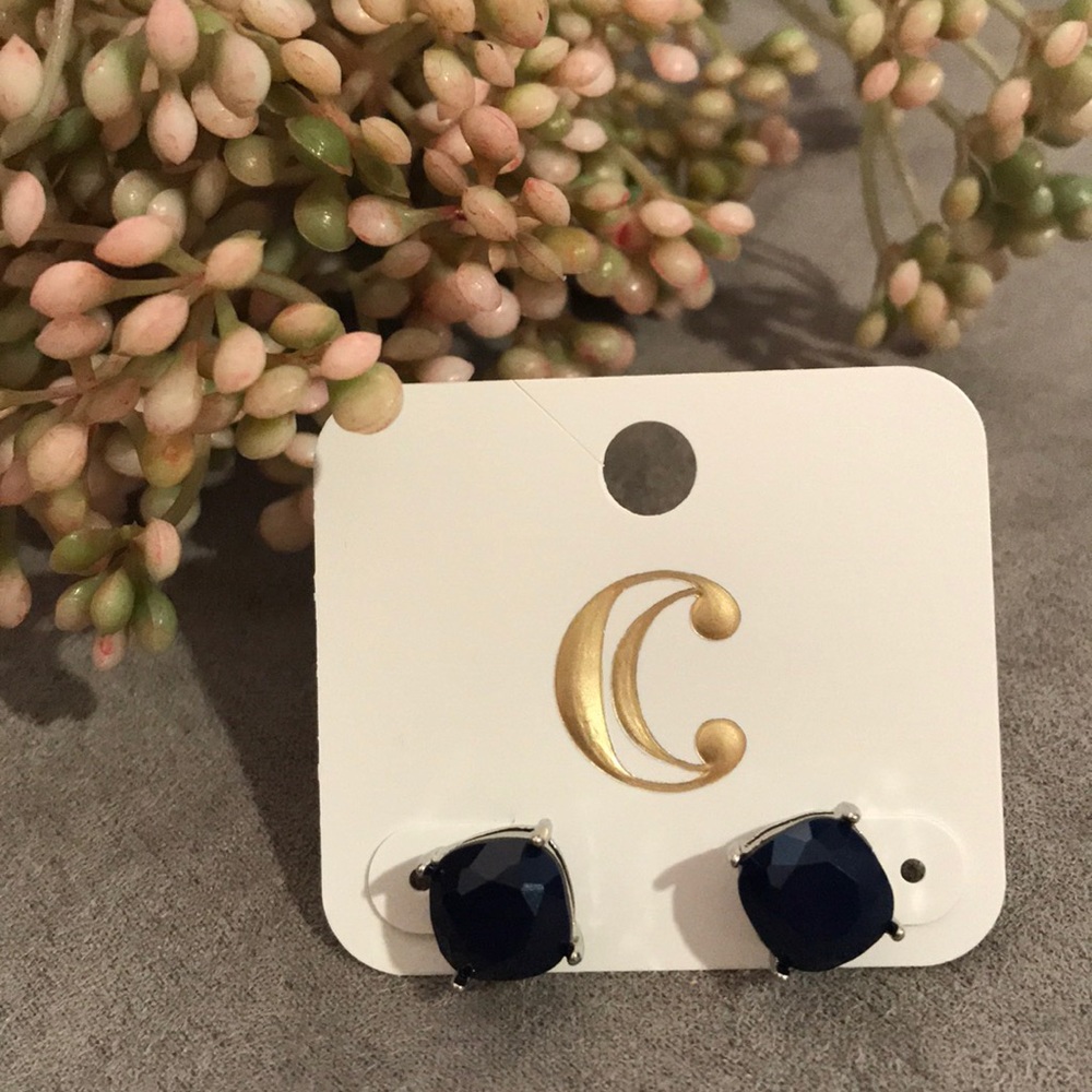Navy blue and silver large studded earrings